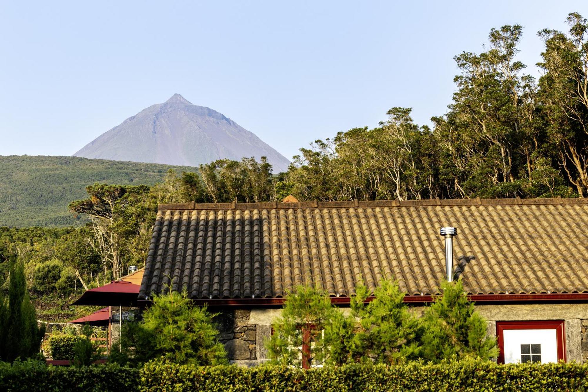Aldeia Das Adegas São Roque do Pico Extérieur photo